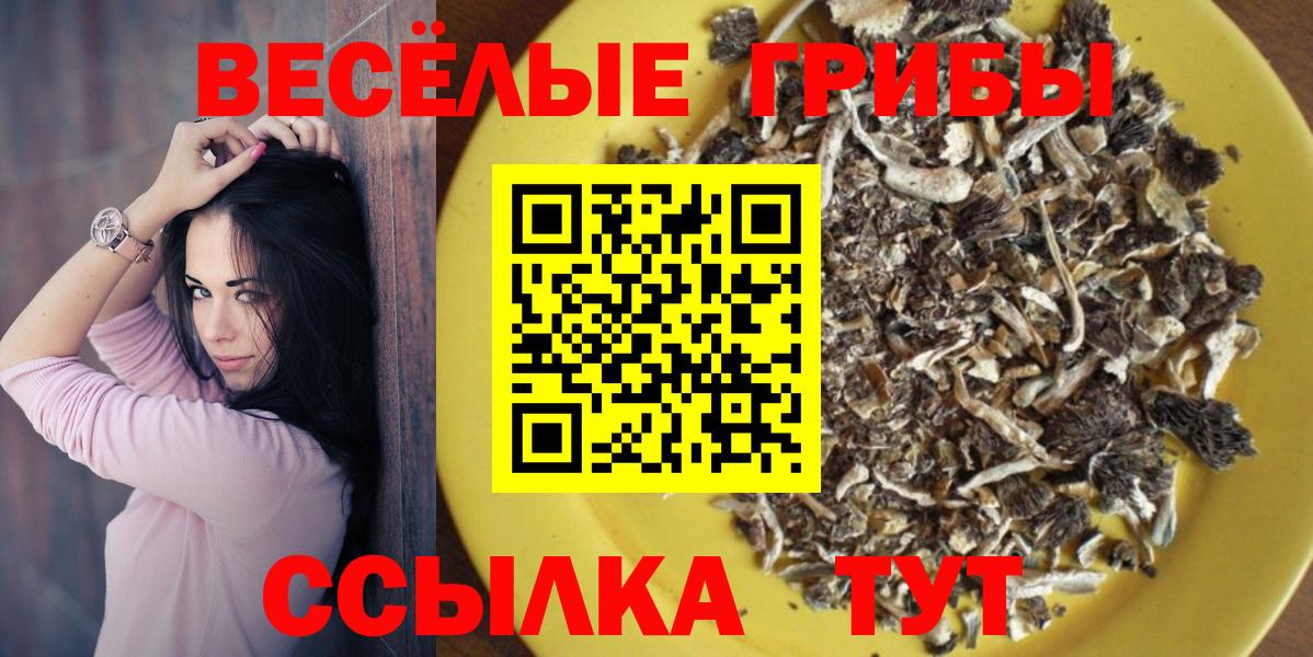 Галлюциногенные грибы мицелий Тверь